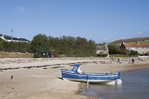 Images Dated 21st March 2008: Tresco, Isles of Scilly, United Kingdom, Europe