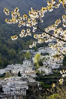 Images Dated 16th April 2008: Trevelez in spring, Sierra Nevada, Andalucia, Spain, Europe
