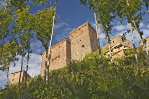 Rheinland Pflaz Prints: Trifels Castle