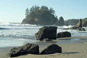 West Coast Prints: Trinidad State Beach
