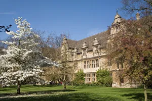 Spring Prints: Trinity College, Oxford, Oxfordshire, England, United Kingdom, Europe