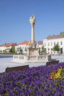 Flower Bed Prints: Trinity Column in Fo Square, Keszthely, Lake Balaton, Hungary, Europe