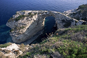 Tripitos Arch