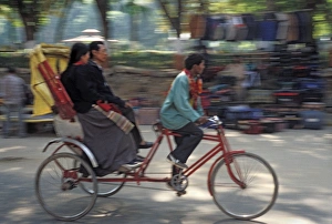 Rick Shaw Prints: Trishaw carrying passengers at Bodhgaya