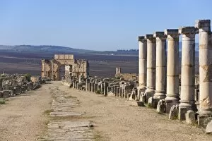 Images Dated 11th November 2009: Triumph Arch, Roman ruins, Volubilis, UNESCO World Heritage Site, Morocco