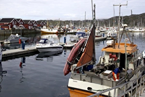 Trondheim Prints: Trondheim harbor, Trondheim, Norway, Scandinavia, Europe