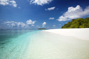Baa Atoll Prints: Tropical beach, Baa Atoll, Maldives, Indian Ocean, Asia