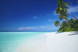 Images Dated 2nd December 2011: Tropical beach and lagoon, Maldives, Indian Ocean, Asia