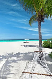 Tropical Climate Prints: Tropical beach, landscape with hammock and white sand, The Maldives, Indian Ocean, Asia