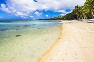 Rarotonga Prints: Tropical Beach in Muri area of Rarotonga, Cook Islands, South Pacific, Pacific