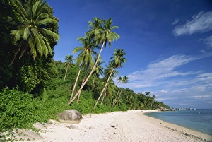 Terengganu Prints: Tropical beach and palm trees on Perhentian Besar