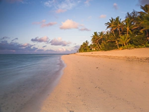 The Pacific Prints: Tropical beach with palm trees at sunrise, Rarotonga, Cook Islands, South Pacific
