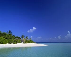 Images Dated 4th February 2008: A tropical beach with palm trees and thatched huts in the Maldive Islands