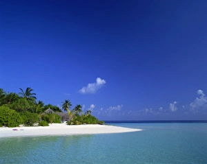 A tropical beach with palm trees and thatched huts in the Maldive Islands A tropical beach with palm trees and thatched huts in the Maldive Islands