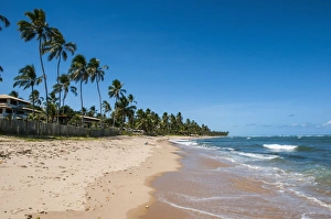 Tropical beach in Praia do Forte, Bahia, Brazil, South America