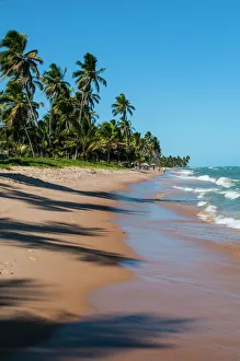 Brazil Prints: Tropical beach in Praia do Forte, Bahia, Brazil, South America