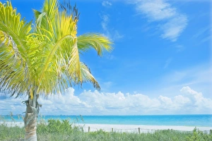 Sanibel Island Prints: Tropical beach, Sanibel Island, Florida, United States of America, North America