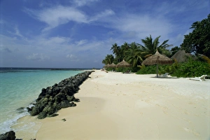 Nakatchafushi Prints: Tropical beach with thatched umbrellas and line of