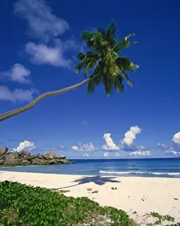 La Digue Prints: Tropical coastline with eroded rock formation and palm trees