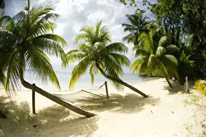 Hammock Prints: Tropical island beach with hammock at Matangi Island Resort, Vanua Levu, Fiji, Pacific