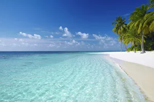 Maldives Prints: Tropical island and beach, Maldives, Indian Ocean, Asia