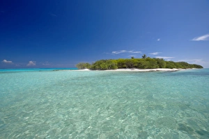 Baa Atoll Prints: Tropical island and lagoon, Baa Atoll, Maldives, Indian Ocean