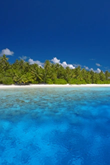 Images Dated 21st May 2007: Tropical island and lagoon, the Maldives, Indian Ocean