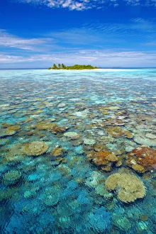 Tropical Climate Prints: Tropical island surrounded by coral reef, The Maldives, Indian Ocean, Asia