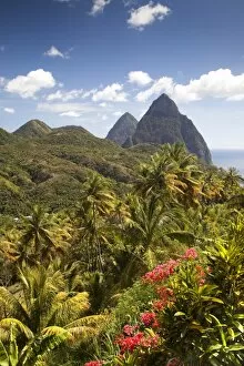 The tropical lushness of the island with the Pitons in the rear in Soufriere, St