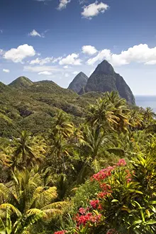 Windward Islands Prints: The tropical lushness of the island with the Pitons in the rear in Soufriere, St