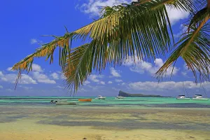 Northern Prints: Tropical scene with boats in clear water and palm trees in Cap Malheureux