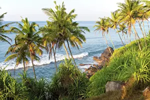 Ocean View Prints: Tropical scenery of palm trees on a hillside by blue Indian Ocean