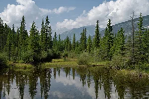 Hiking Trails Prints: Trout Pond reflections near Picklejar Creek