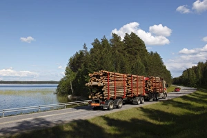 Images Dated 22nd June 2009: Truck transporting timber, Highway number 14, beside Lake Puruvesi, Punkaharju Nature Reserve