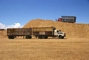 Forestry Prints: Trucks and trailers at the wood chip stocks at the port awaiting export at Puerto Montt in the Lake District of Chile