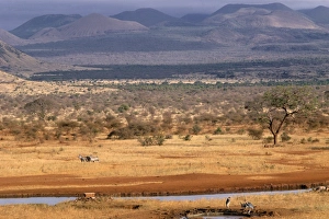 Tsavo National Park