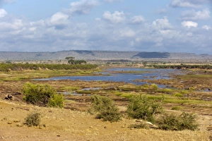 Tsavo Prints: Tsavo River, Tsavo East National Park, Kenya, East Africa, Africa