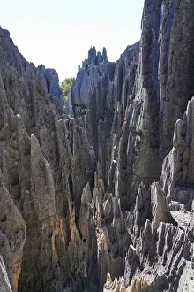 Jagged Prints: Tsingy de Bemaraha National Park, UNESCO World Heritage Site, Melaky Region, Western