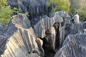 L Imestone Prints: Tsingy de Bemaraha Strict Nature Reserve