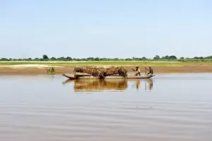 Along Tsiribihina, a river flowing from Madagascar in the Mozambique Channel by a delta, Madagascar, Indian Ocean, Africa