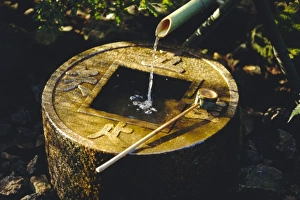 S Pilling Prints: A Tsubakai