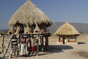 Images Dated 18th August 2010: Ttraditional thatch roofed house and grain storage, Lake Kariba, Zimbabwe, Africa
