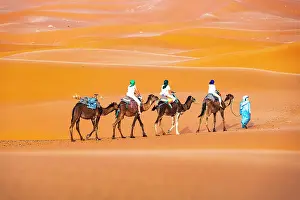 Boys Prints: Tuareg man leading a camel train of tourists on the sand dunes of Erg Chebbi