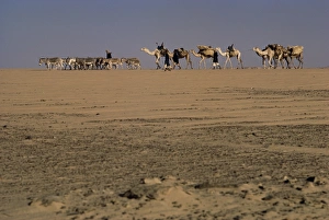 Tuareg Prints: Tuaregs, Azaoua, Niger, Africa