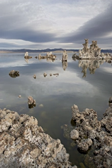 Mono Lake Prints: Tufa formations at dawn, Mono Lake, California, United States of America, North America