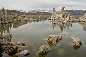 Images Dated 8th December 2008: Tufa formations, Mono Lake, California, United States of America, North America