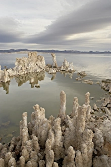 Images Dated 8th December 2008: Tufa formations, Mono Lake, California, United States of America, North America