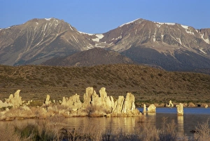 Mono Lake Prints: Tufa formations at Mono Lake Tufa State Reserve
