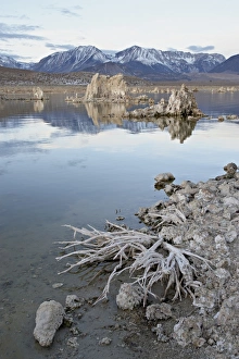 Mono Lake Prints: Tufa formations and shore, Mono Lake, California, United States of America, North America