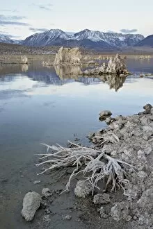 Images Dated 7th December 2008: Tufa formations and shore, Mono Lake, California, United States of America, North America